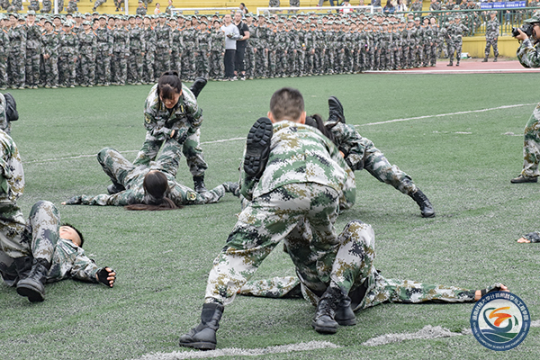 52560db9f25341579b4d61550f2d1d22.jpg DSC_1069.jpg