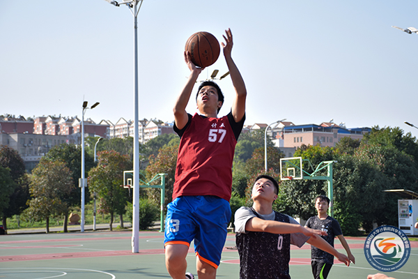 7b4dedfb15994412a148ed7569ab04b4.jpg DSC_0387.jpg